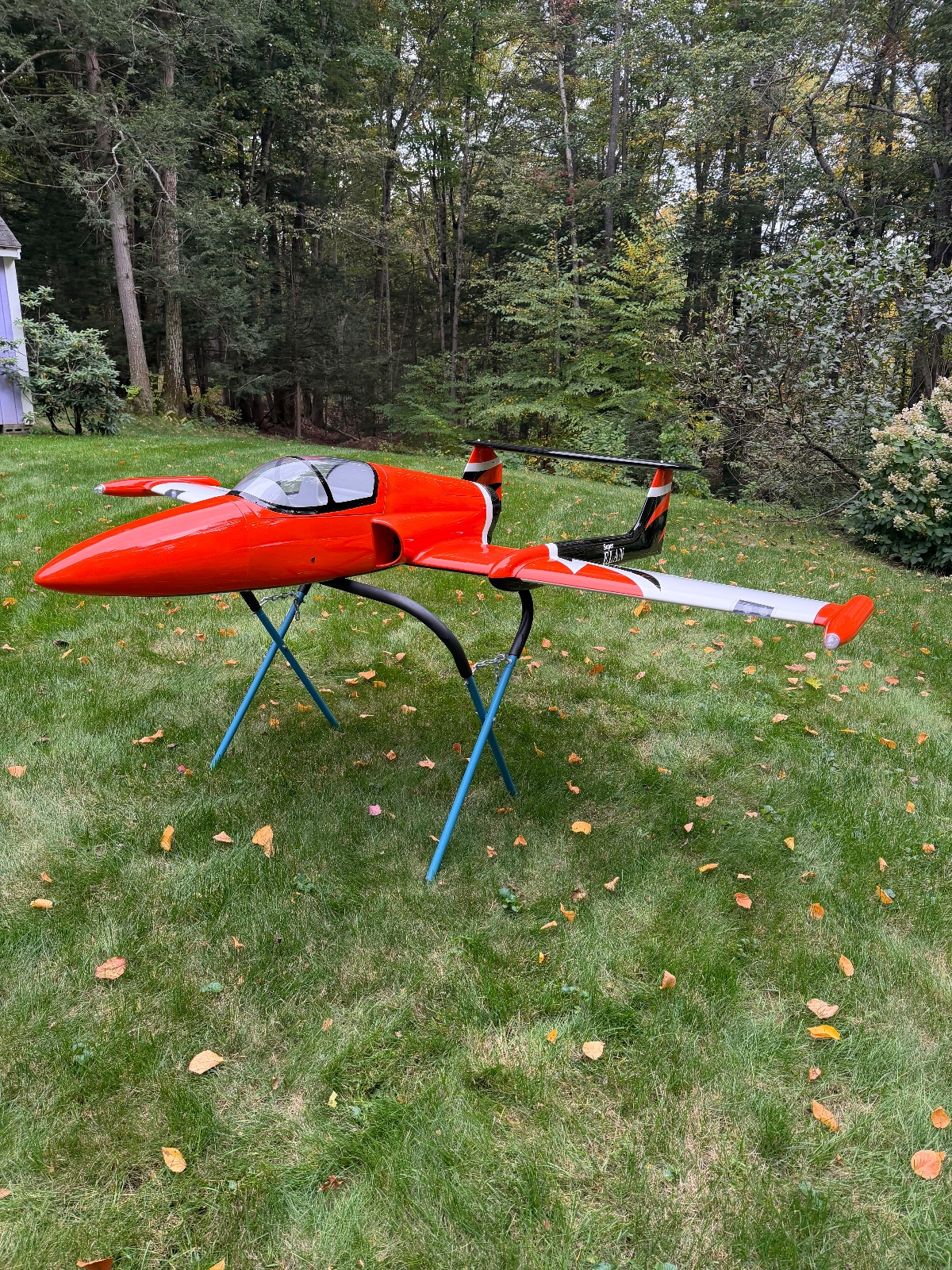 BNF Boomerang Super Elan. photo 4