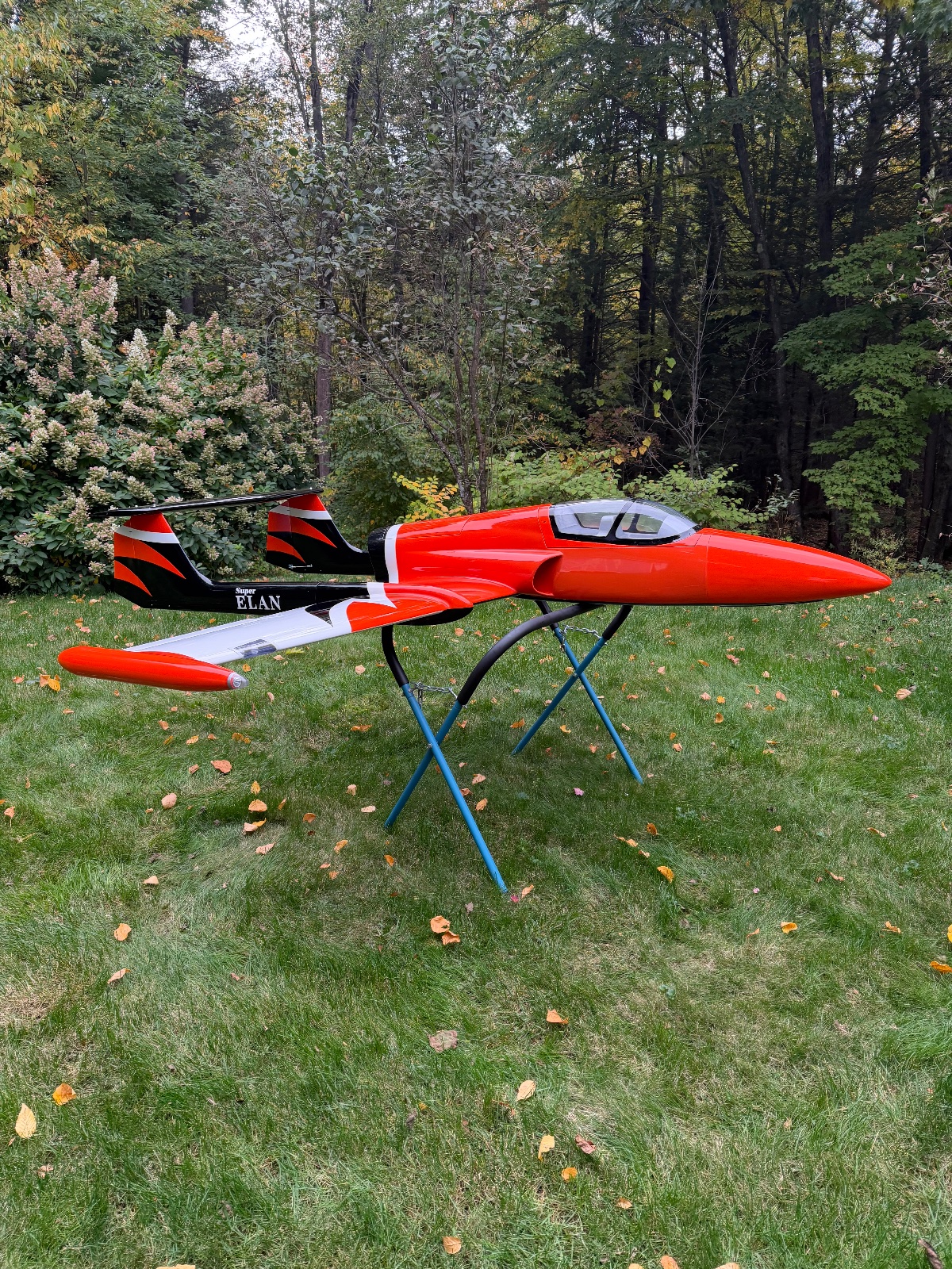 BNF Boomerang Super Elan. photo 6