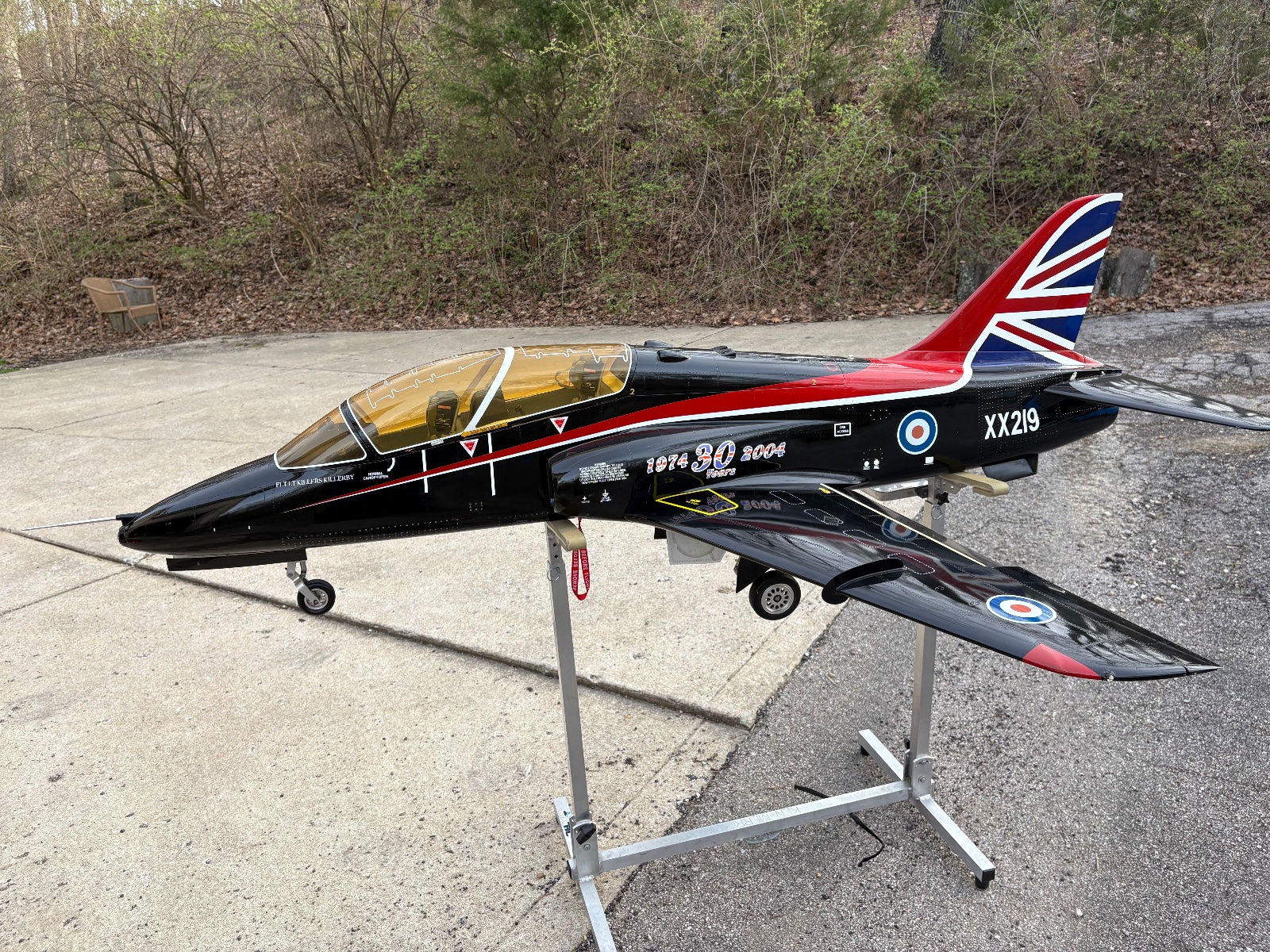 Skymaster extreme BAE Hawk Kingtech 160 with 97min on motor RTF with wing bags photo 4